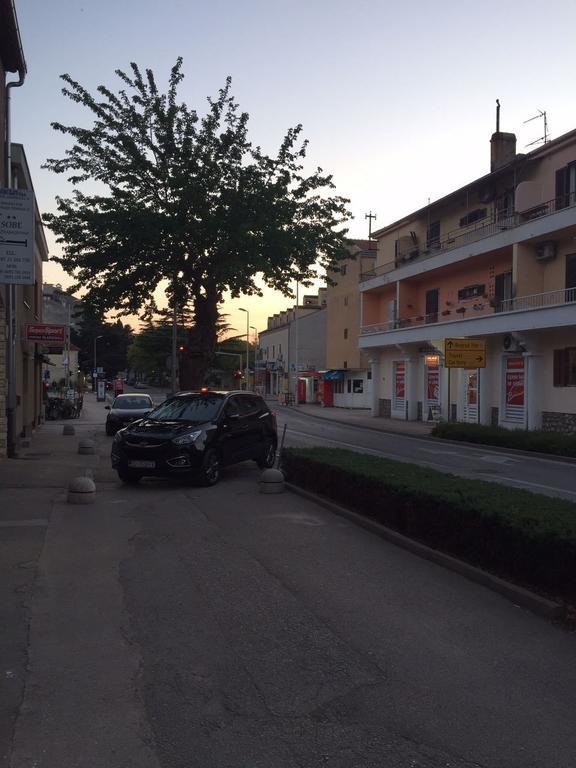 Crveno Zlato Penzion